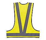 Reflective Vest