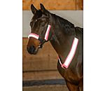 Reflective Bridle Cover Set