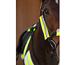 Reflective Bridle Cover Set