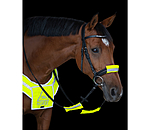 Reflective Bridle Cover Set