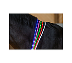 LED-Light Neck Strap for Horses