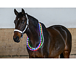 LED-Light Neck Strap for Horses