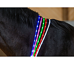 LED-Light Neck Strap for Horses