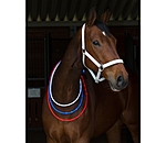 LED-Light Neck Strap for Horses