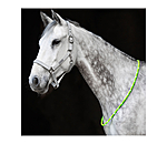 LED-Light Neck Strap for Horses