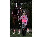 LED-Light Neck Strap for Horses