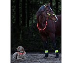 LED-Light Neck Strap for Horses