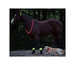 LED-Light Neck Strap for Horses