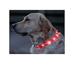 LED-Light Collar for Dogs