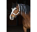 LED-Mane and Tail Clip