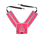 Hi-Vis Breastplate