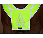 Hi-Vis Breastplate