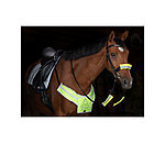 Hi-Vis Breastplate