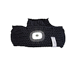 LED Head Lamp for Horses