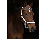 LED Head Lamp for Horses