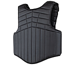 Body Protector Panel Fit