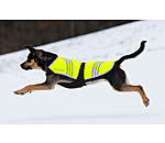 Hi-Vis Dog Coat Bright