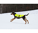 Hi-Vis Dog Coat Bright