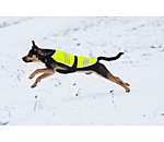 Hi-Vis Dog Coat Bright