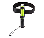 LED Light Rod