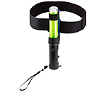 LED Light Rod