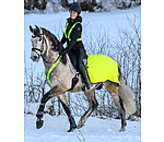 Hi-Vis Breastplate Stripes