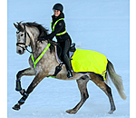 Hi-Vis Breastplate Stripes