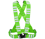 Reflective Harness Stripes