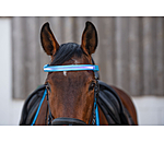 LED Browband Loom