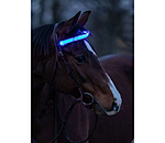 LED Browband Loom