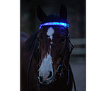 LED Browband Loom