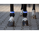 LED Leg Bands Loom