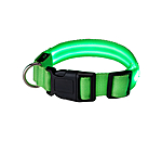 LED Dog Collar Loom