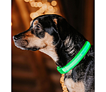 LED Dog Collar Loom