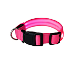 LED Dog Collar Loom