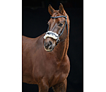 Hackamore with Fur Padding