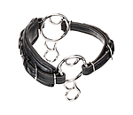 Bitless Bridle