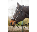 Bitless Bridle
