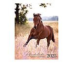 Horse Love Calendar 2026