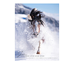 Horse Love Calendar 2026