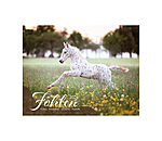 Foals Calendar 2026