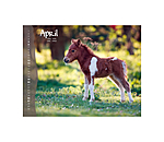 Foals Calendar 2024