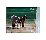 Foals Calendar 2024