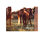 Foals Calendar 2024