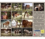 Foals Calendar 2024
