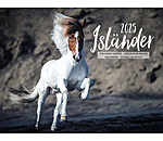 Icelandic Horse Calendar 2026