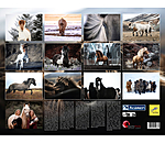 Icelandic Horse Calendar 2024
