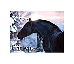 Friesian Horse Calendar 2026