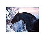 Friesian Horse Calendar 2026
