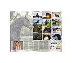 Friesian Horse Calendar 2026